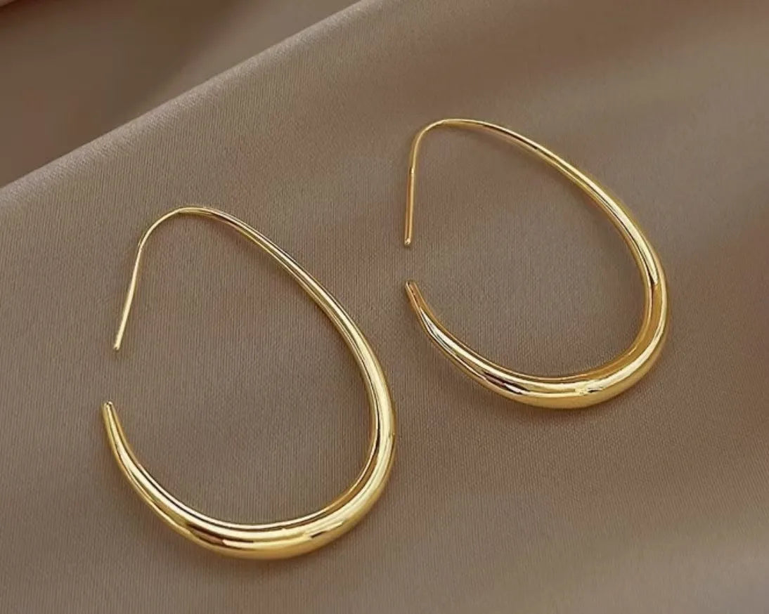 Boucles d'oreilles créoles en argent 925 fine