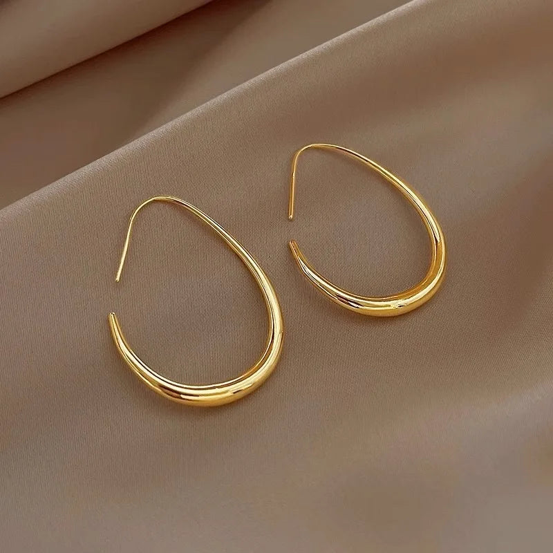 Boucles d'oreilles créoles en argent 925 fine