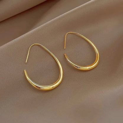 Boucles d'oreilles créoles en argent 925 fine